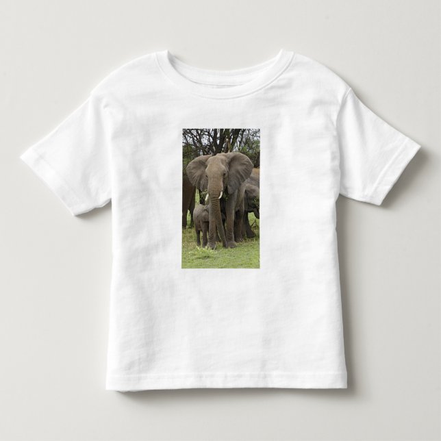 Camiseta Infantil Elefante Africano | Manada (Frente)