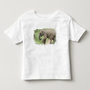 Camiseta Infantil Elefante bebê seguindo a mãe, Corbett