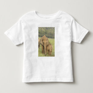 Camiseta Infantil Elefante indiano / asiático e filhote, Corbett