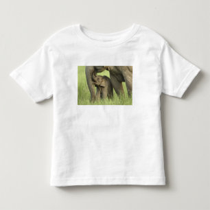Camiseta Infantil Elefante indiano / asiático e filhote, Corbett 2