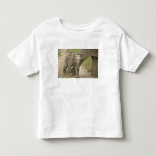 Camiseta Infantil Elefante indiano / asiático e filhote, Corbett 2