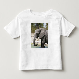 Camiseta Infantil Elefante (Loxodonta africana), Canal de Savute