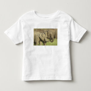 Camiseta Infantil Elefantes Asiáticos Indianos