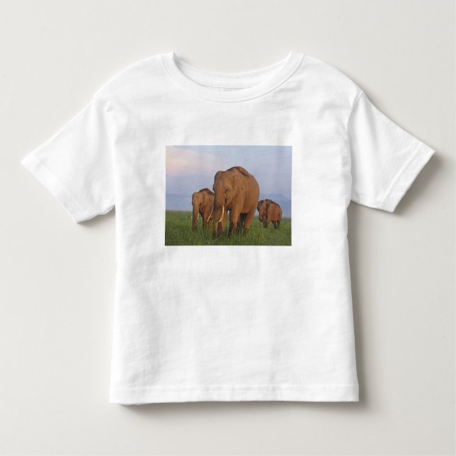 Camiseta Infantil Elefantes Indianos na Grassland (Frente)