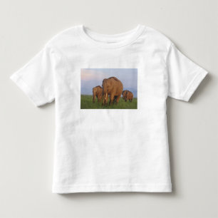 Camiseta Infantil Elefantes indianos na pastagem