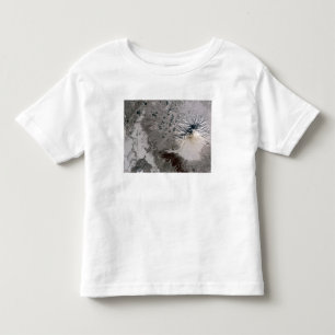 Camiseta Infantil Elevações ricas de uma pena da cinza