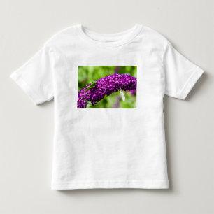 Camiseta Infantil energia do grilo-katydid