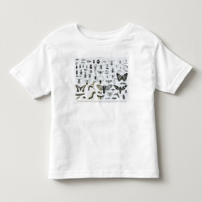 Camiseta Infantil Entomologia (Frente)