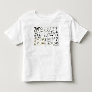 Camiseta Infantil Entomologia, Myriapoda e aracnídeos