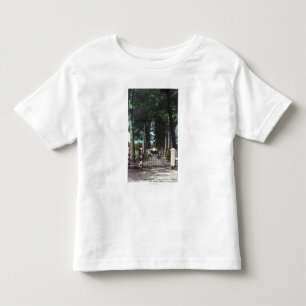 Camiseta Infantil Entrada à opinião de Theodore Wagner das casas