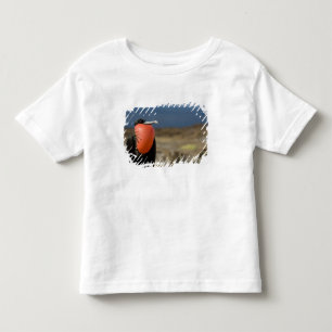 Camiseta Infantil Equador, Galápagos, Ilha de Genovesa. Príncipe