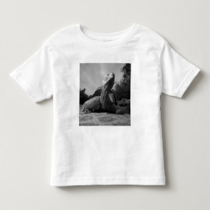 Camiseta Infantil Equador, Parque Nacional Ilhas Galápagos, Santa