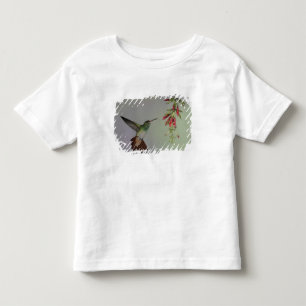 Camiseta Infantil Equador, Tandayapa Bird Lodge. Rabo-de-fogo