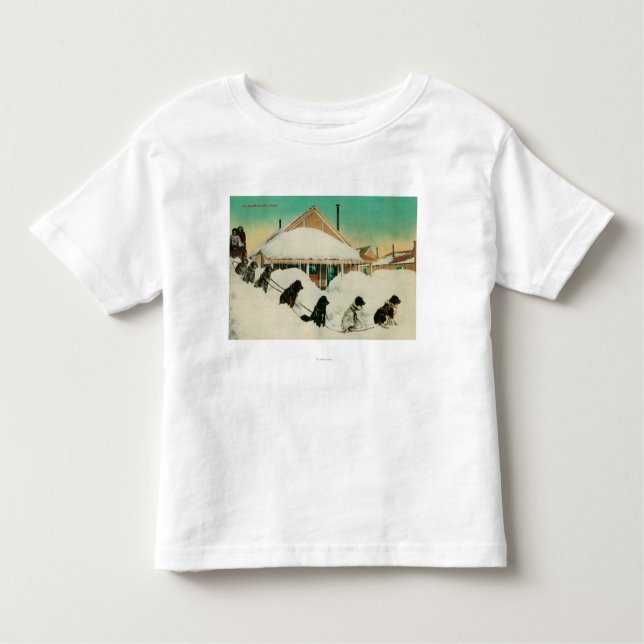 Camiseta Infantil Equipe de Alaska Dogsled que descansa em SnowState (Frente)