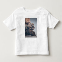 Erupção vulcânica de Eyjafjalljokull