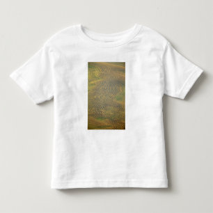 Camiseta Infantil Ervilhas de lentilha em leiras e aguardando colhei