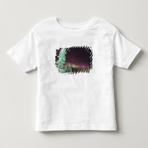Camiseta Infantil Escandinávia, Finlândia, Lapónia, Kakslauttanen