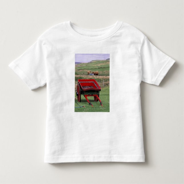Camiseta Infantil Escócia, Ilha de Skye, Kilmuir. Animais de explora (Frente)
