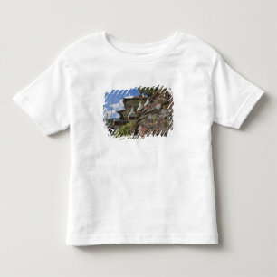 Camiseta Infantil Escrita butanesa em rochas e chortens nepaleses