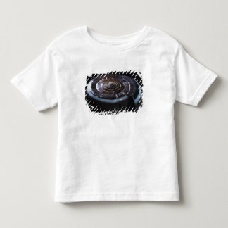 Camiseta Infantil Escudo do cone