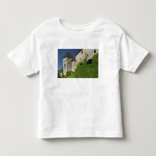 Camiseta Infantil ESLOVÊNIA, Liubliana: Castle Hill / Liubliana