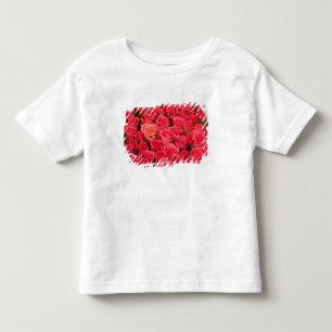 Camiseta Infantil ESLOVÊNIA, Liubliana: Mercado Público de Liubliana