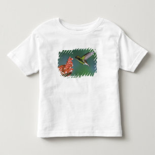 Camiseta Infantil Esmeralda de Cabeça Coppery, Elvira cupreiceps,