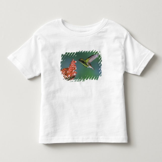 Camiseta Infantil Esmeralda de Cabeça Coppery, Elvira cupreiceps, (Frente)