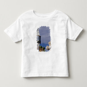 Camiseta Infantil Espanha, Catalunha, Barcelona. Casa Batlló (1906).