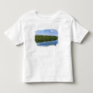 Camiseta Infantil Estado do Mato Grosso, Amazônia, Brasil. Florestad
