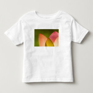 Camiseta Infantil Estados Unidos, DC, Washington, Kenilworth 3