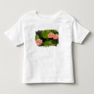 Camiseta Infantil Estados Unidos, DC, Washington, Kenilworth 4