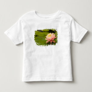 Camiseta Infantil Estados Unidos, Maryland, Westminster, União