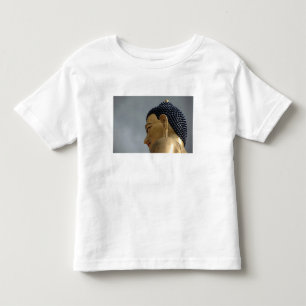 Camiseta Infantil estátua de Buddha Dordenma