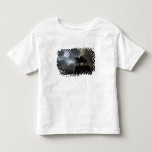 Camiseta Infantil Estátua do Rei Kralja Tomislava em silhueta