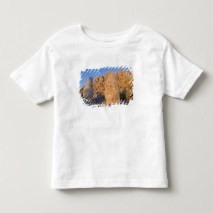 Camiseta Infantil estátuas de cabeças colossais de Deuses guardando