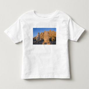 Camiseta Infantil Estatuas de cabeças colossais de Deuses guardando