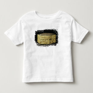 Camiseta Infantil Estojo sextavado decorado com animais