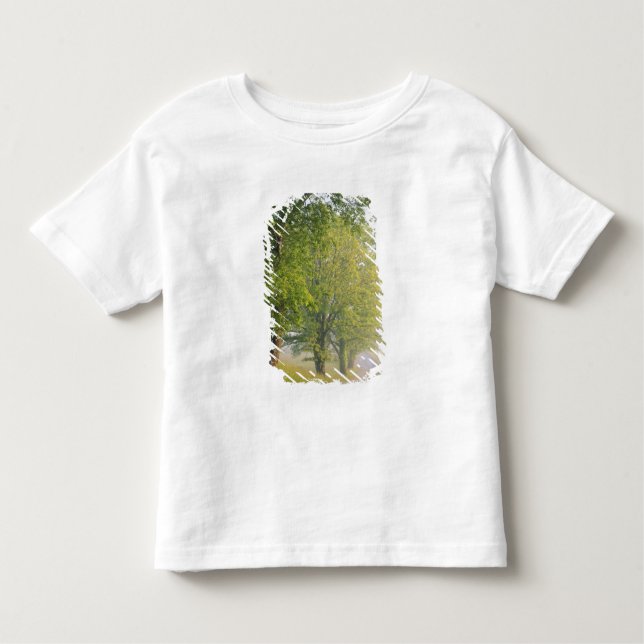 Camiseta Infantil Estrada coberta de nevoeiro, Cades Cove, Enfumaçad (Frente)