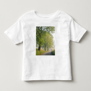 Camiseta Infantil Estrada coberta de nevoeiro, Cades Cove, Great Smo