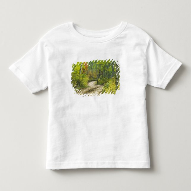 Camiseta Infantil Estrada com cores de outono e álamos em Kebler (Frente)