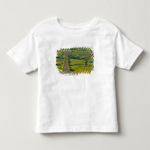 Camiseta Infantil estrada de cascalho Comertown no remoto nordeste
