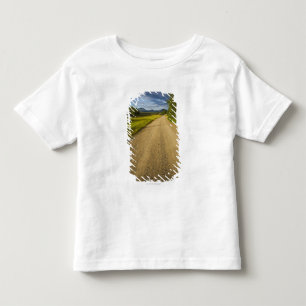 Camiseta Infantil Estrada de terra em Eagle, Alaska