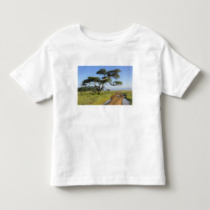 Camiseta Infantil Estrada de terra primitiva e árvore de acácia, Lag
