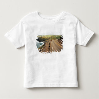 Camiseta Infantil Estrada litoral