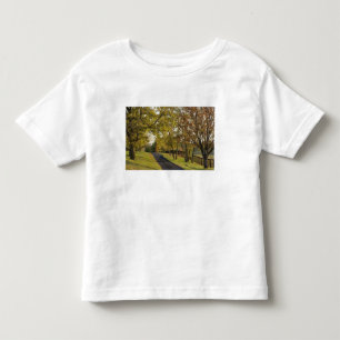 Camiseta Infantil Estrada rural através da região Bluegrass de Kentu