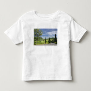 Camiseta Infantil Estrada rural curvando entre ciprestes em