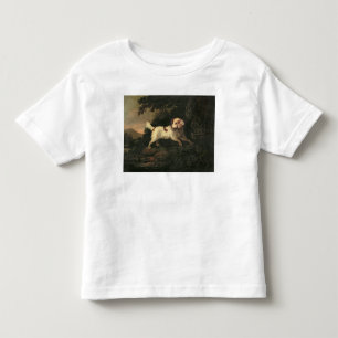 Camiseta Infantil Estudo do Spaniel de Clumber