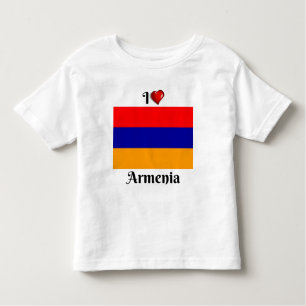 Camiseta Infantil Eu amo a Armênia