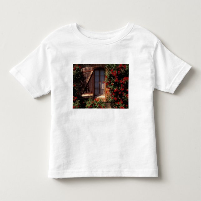 Camiseta Infantil EU, França, Provença, Vaucluse, Apt.Casa (Frente)